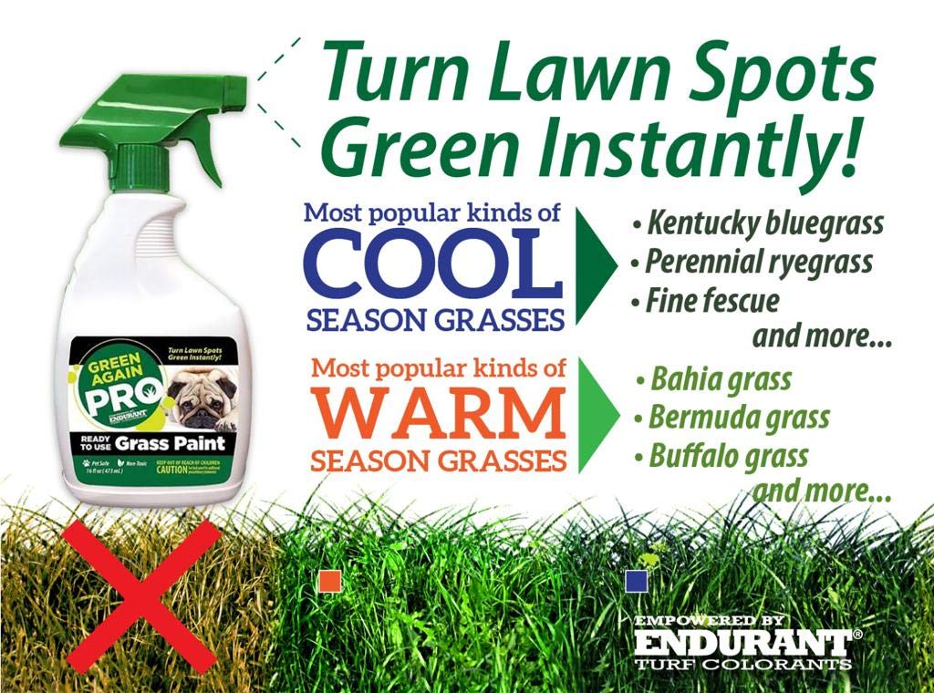 Pre-Mixed Grass and Turf Paint - All Natural Pet-Friendly Lawn Colorant Turns Spots Green Again with Eco-Friendly Point-and-Spray Application (16 oz) (Warm Season Grasses)