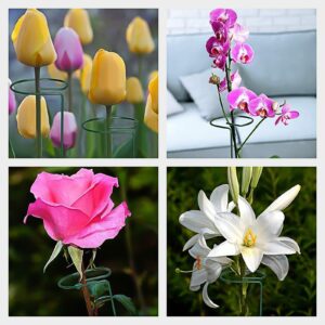 GROWNEER 12 Packs 16 Inches Garden Flower Support Plant Support Stakes, with 15 Pcs Plant Labels, Single Plant Stem Flower Support for Flowers, Orchid, Peony, Lily, Rose