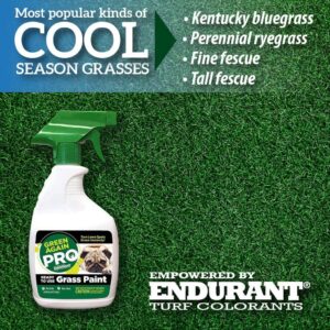 Pre-Mixed Grass and Turf Paint - All Natural Pet-Friendly Lawn Colorant Turns Spots Green Again with Eco-Friendly Point-and-Spray Application (16 oz) (Warm Season Grasses)