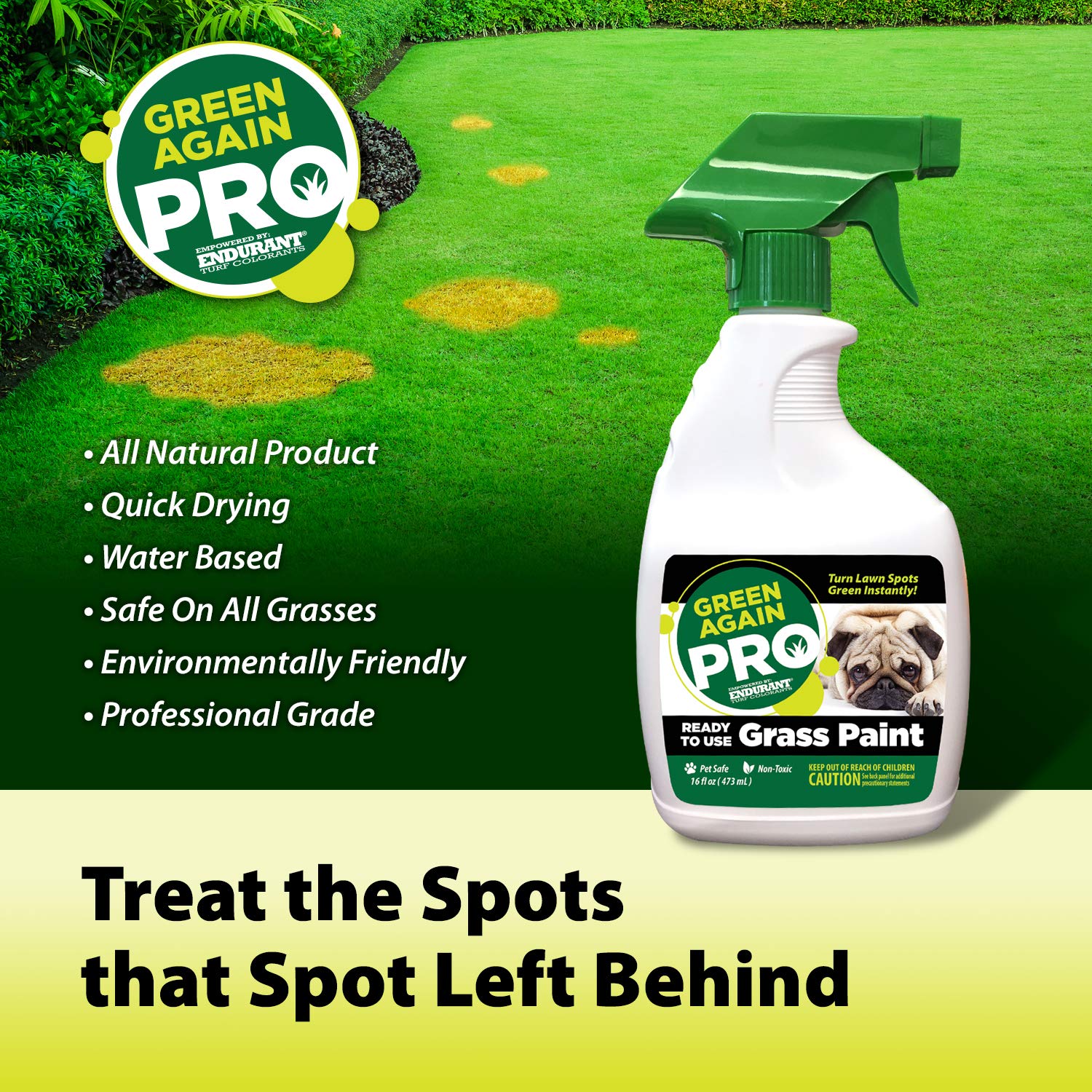 Pre-Mixed Grass and Turf Paint - All Natural Pet-Friendly Lawn Colorant Turns Spots Green Again with Eco-Friendly Point-and-Spray Application (16 oz) (Warm Season Grasses)