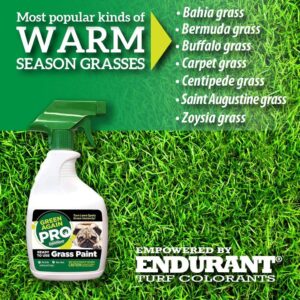 Pre-Mixed Grass and Turf Paint - All Natural Pet-Friendly Lawn Colorant Turns Spots Green Again with Eco-Friendly Point-and-Spray Application (16 oz) (Warm Season Grasses)