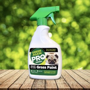 Pre-Mixed Grass and Turf Paint - All Natural Pet-Friendly Lawn Colorant Turns Spots Green Again with Eco-Friendly Point-and-Spray Application (16 oz) (Warm Season Grasses)