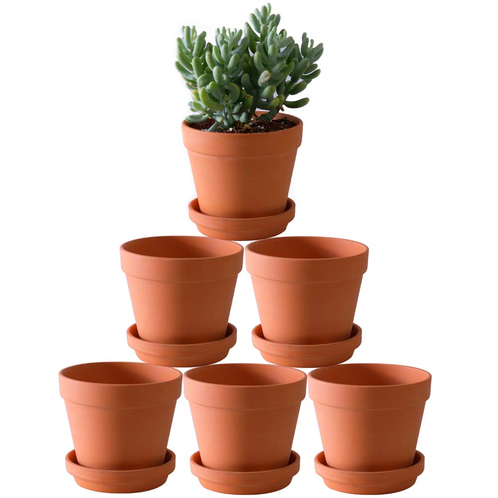 Terra Cotta Pots with Saucer- 6-Pack Large Clay Pots 5.5'' Ceramic Pottery Planter Cactus Flower Succulent Pot with Drainage Hole- Great for Plants,Crafts terra cotta planter