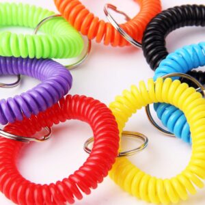 Arroyner 70Pcs Colorful Stretchy Keychain Bracelet Spiral Wristband Keychain for Outdoor, Gym