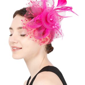 Fascinators Hat Flower Cocktail Lace Mesh Feathers Headband Clip for Women Tea Party Wedding Vintage Derby Hats-Hot Pink-01