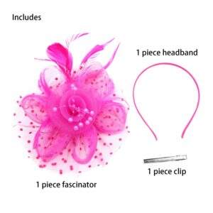 Fascinators Hat Flower Cocktail Lace Mesh Feathers Headband Clip for Women Tea Party Wedding Vintage Derby Hats-Hot Pink-01