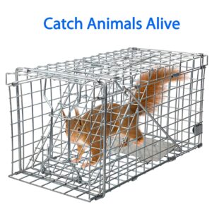 Gingbau Squirrel Trap Heavy Duty Humane Live Animal Cage Trap for Small Rabbits, Weasels and Other Similar-Size Rodents