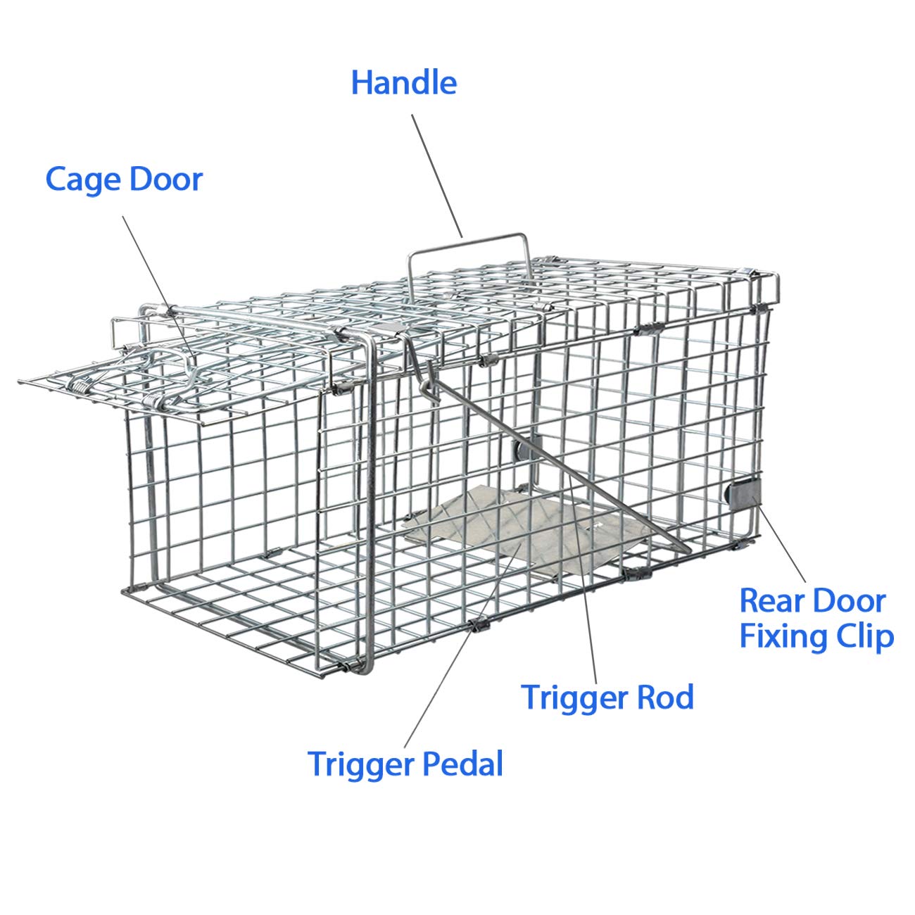 Gingbau Squirrel Trap Heavy Duty Humane Live Animal Cage Trap for Small Rabbits, Weasels and Other Similar-Size Rodents