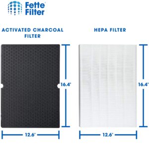 Fette Filter - Premium True HEPA Replacement Filter Compatible with Winix 116130 Filter H for Winix Air Purifier Model # 5500-2 & AM80 (1 HEPA Filter + 1 Carbon Filter)