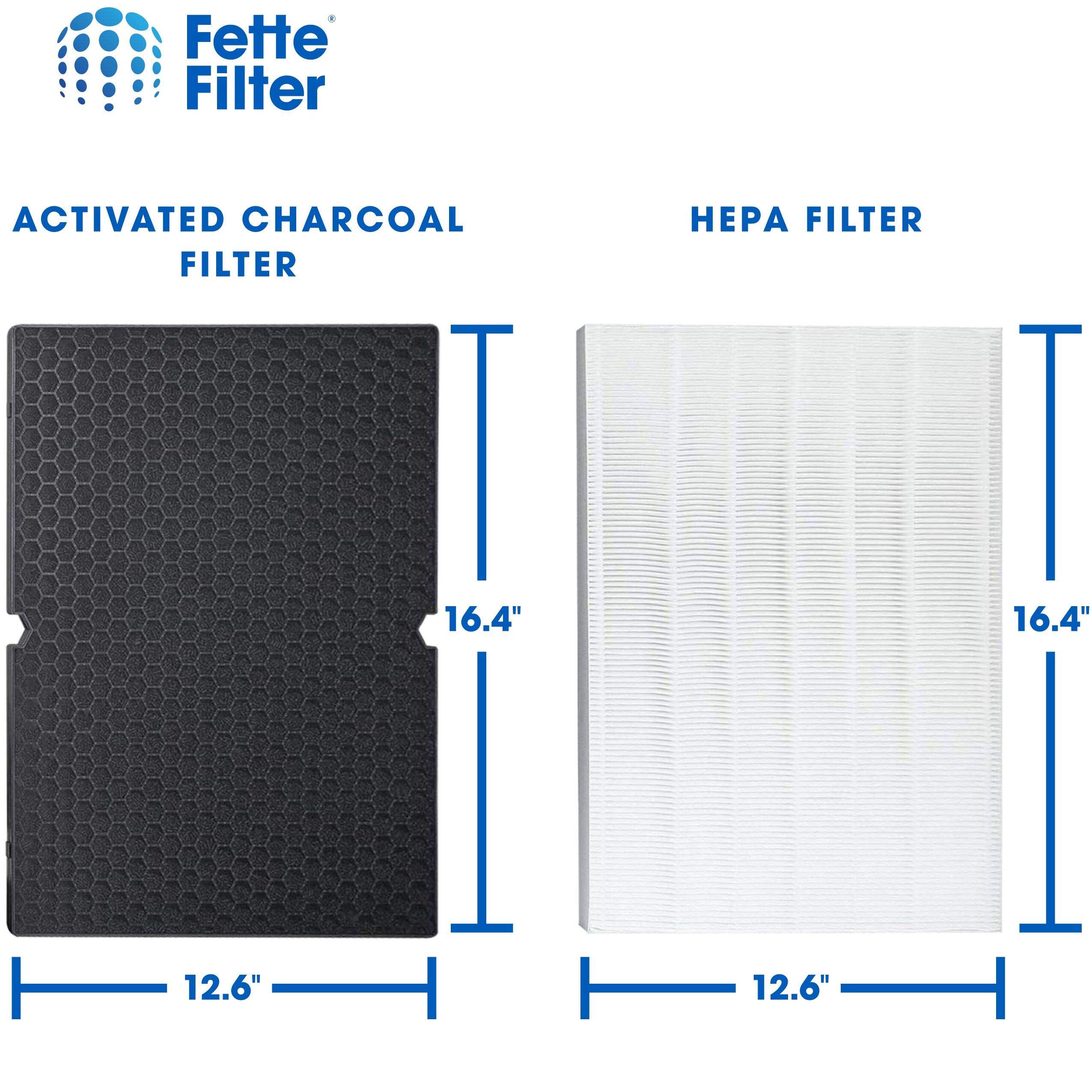 Fette Filter - Premium True HEPA Replacement Filter Compatible with Winix 116130 Filter H for Winix Air Purifier Model # 5500-2 & AM80 (1 HEPA Filter + 1 Carbon Filter)