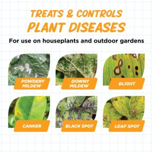 Earth's Ally Disease Control for Plants Ready-to-Use 24 oz | Fungicide Spray Treatment for Powdery Mildew, Blight, Black Spot, Fungus - Use for Plant & Rose Diseases & More