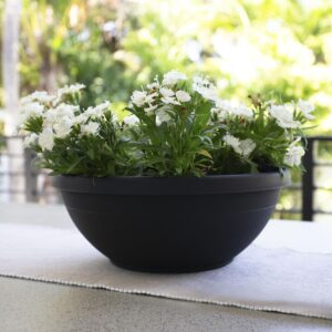 Bloem Terra Plant Bowl Planter 14" - Black