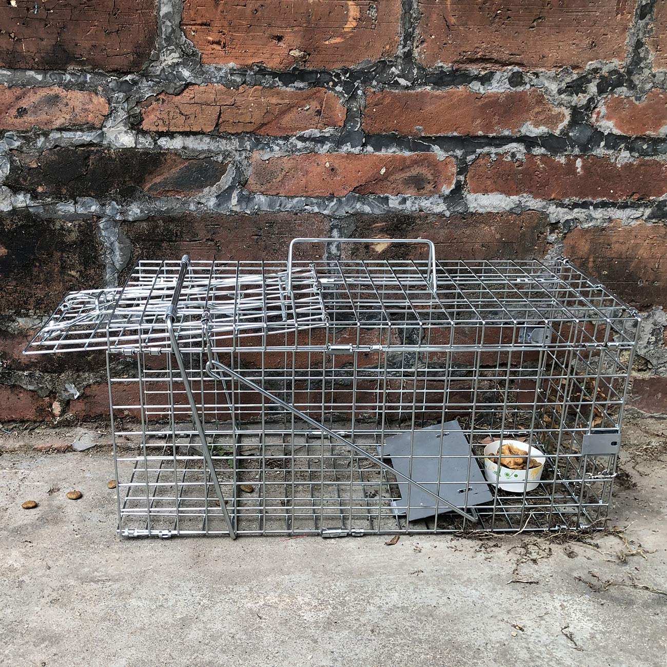 Gingbau Squirrel Trap Heavy Duty Humane Live Animal Cage Trap for Small Rabbits, Weasels and Other Similar-Size Rodents