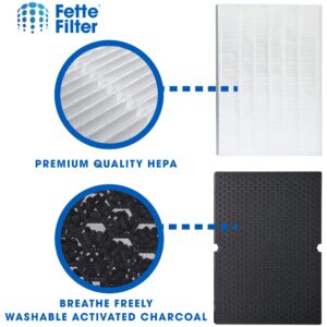 Fette Filter - Premium True HEPA Replacement Filter Compatible with Winix 116130 Filter H for Winix Air Purifier Model # 5500-2 & AM80 (1 HEPA Filter + 1 Carbon Filter)