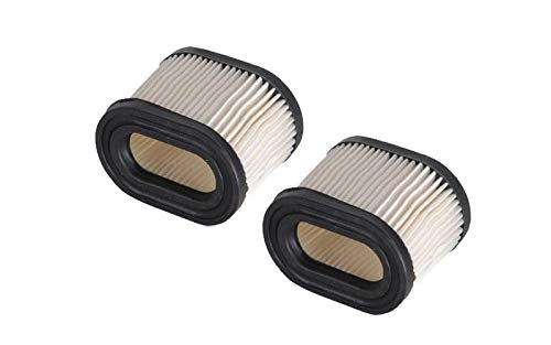 Set of Two Air Filters Replace 36745 100-317 8785 30-030