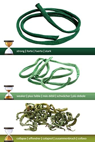 Biostretch Soft Plant Ties for House and Garden Plants - Environmentally Friendly Stretchy Green Plant Tape and Garden Twine Plant String 2 Pack (Green Bio Roll x 2)