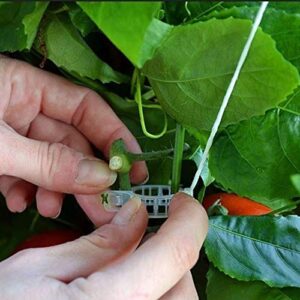 MIHEY 300 Pcs Tomato Trellis Clips, Tomato Vine Clips, Plant Support Garden Clips for Vine Vegetables to Grow Upright and Healthier