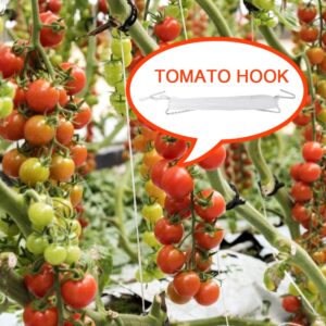 DAMEING Plant Climbing Hooks, Tomato Support J Hook Garden Hooks to Prevent Tomatoes from Pinching or Falling Off (20Pcs)