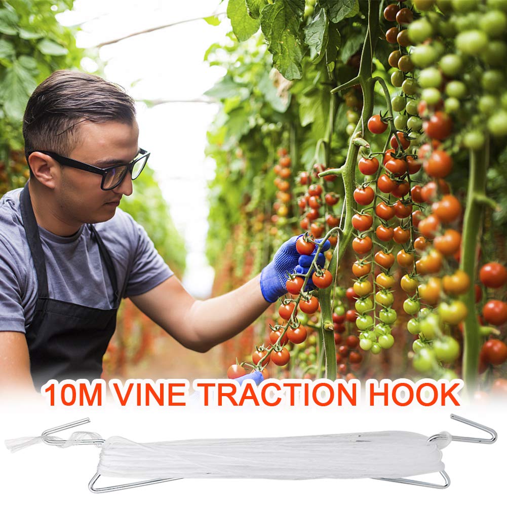 DAMEING Plant Climbing Hooks, Tomato Support J Hook Garden Hooks to Prevent Tomatoes from Pinching or Falling Off (20Pcs)