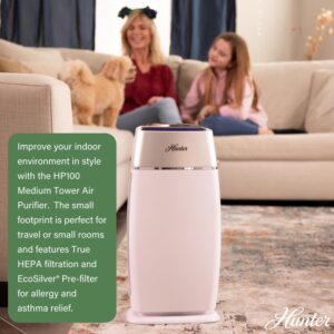 Hunter Fan Company HP100GRS Air Purifier, Small Tower, Gray & Silver