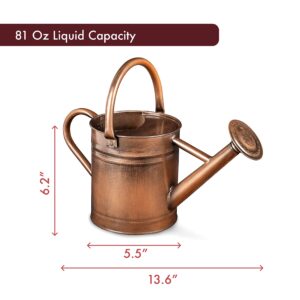 Homarden Metal Watering Can - 81 oz Copper Watering Can with Removable Spout - Galvanized Indoor Watering Can - Bonsai Watering Can for Outdoor - Decorative Small Watering Cans for House Plants