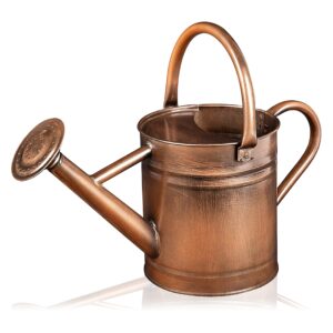 homarden metal watering can - 81 oz copper watering can with removable spout - galvanized indoor watering can - bonsai watering can for outdoor - decorative small watering cans for house plants