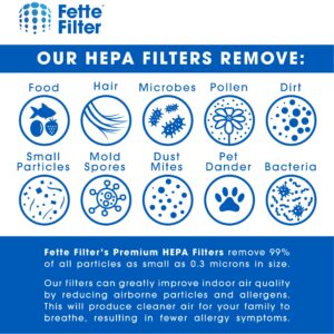 Fette Filter - 2 True HEPA Filters Compatible with 3M Filtrete F1 Replacement Filter for Purifier FAP-C01-F1,FAP-T02-F1, FAP-C01BA-G1, FAP-T02WA-G1, FAP-ST02W FAP-ST02N Compare to Part # FAPF-F1-A F1