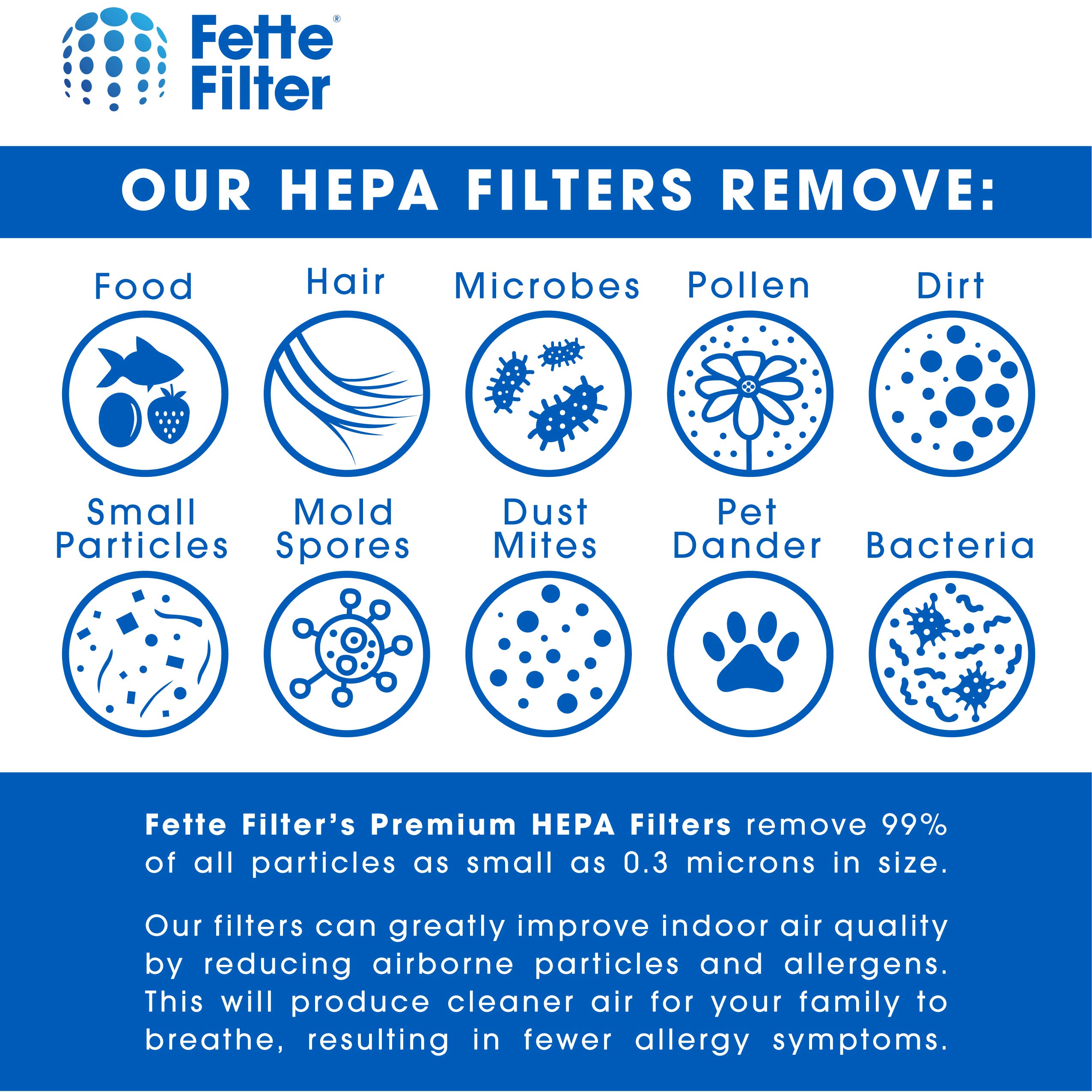 Fette Filter - 2 True HEPA Filters Compatible with 3M Filtrete F1 Replacement Filter for Purifier FAP-C01-F1,FAP-T02-F1, FAP-C01BA-G1, FAP-T02WA-G1, FAP-ST02W FAP-ST02N Compare to Part # FAPF-F1-A F1