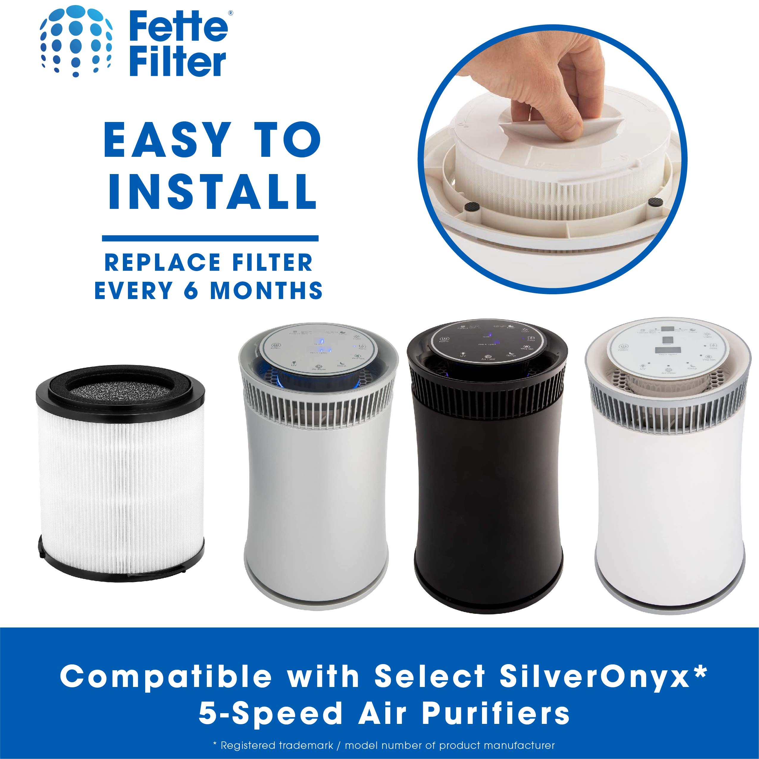 Fette Filter - H13 True HEPA Replacement Filter, Compatible with SilverOnyx 5-Speed Air Purifier KJ150F-C02, 4-in-1 H13 Grade True HEPA filter, For Large Room 500 sq ft, 2-Pack