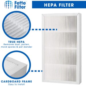 Fette Filter - True HEPA AirPurifier Filter Replacement Filter, 9" x 15" Compatible With 3M Filtrete FAPF02 & FAPF024 for model # FAP01-RMS, FAP02-RMS, FAP02 - Pack of 2