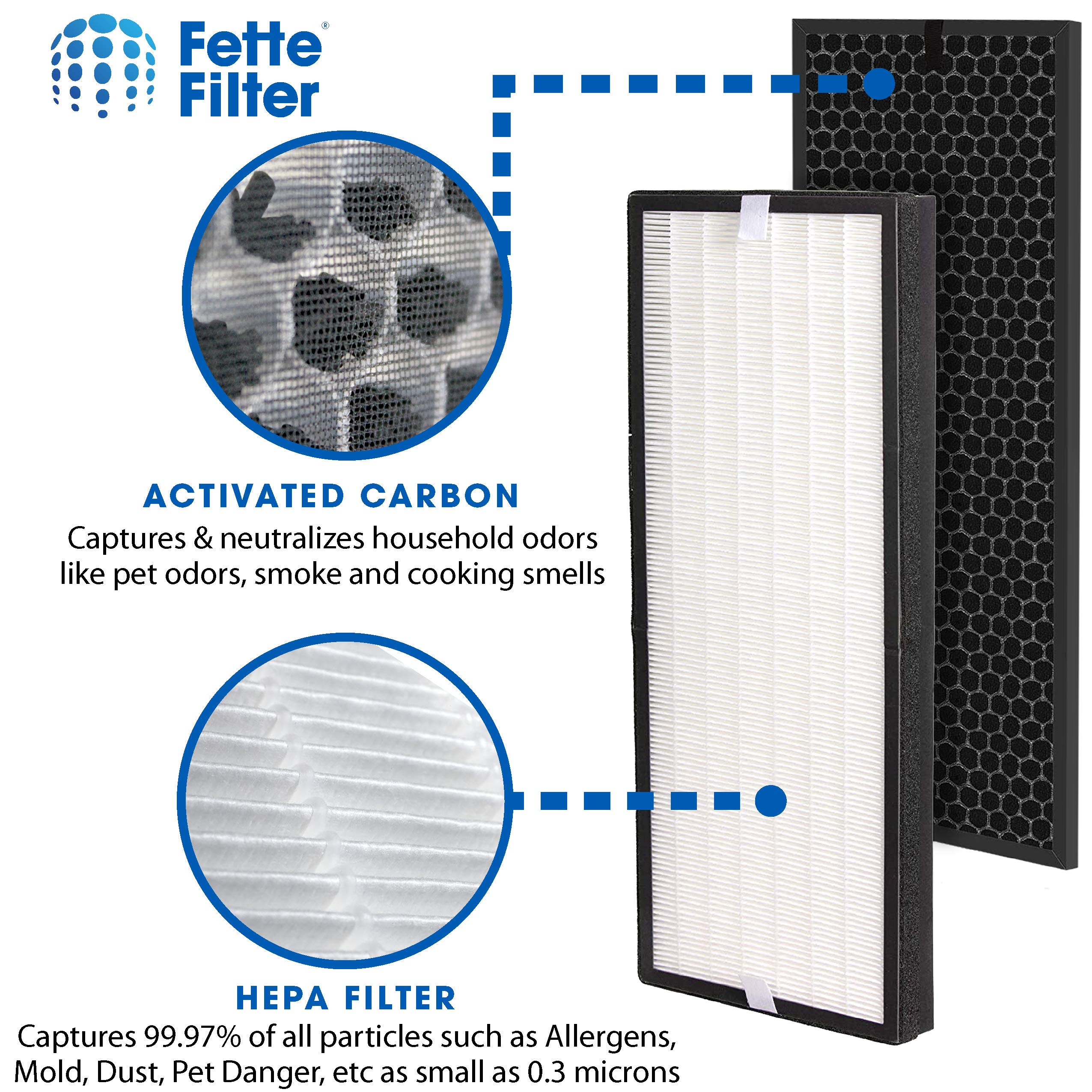 Fette Filter - Air Purifier True HEPA Replacement Filter Set Compatible with Rowenta PU6010 and PU6020 Intense Pure Air XL Purifier Series. Part Number XD6077U0 & XD6066 - Pack of 2