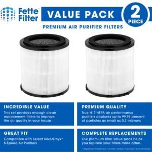 Fette Filter - H13 True HEPA Replacement Filter, Compatible with SilverOnyx 5-Speed Air Purifier KJ150F-C02, 4-in-1 H13 Grade True HEPA filter, For Large Room 500 sq ft, 2-Pack