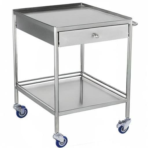 2-Layer Medical Trolley Stainless Steel Healthcare Trolley Mobile Care Car Clinic Carts Medical Laboratory Equipment Carts Spa Beauty Salon Tool Car (1 Drawer)