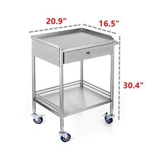 2-Layer Medical Trolley Stainless Steel Healthcare Trolley Mobile Care Car Clinic Carts Medical Laboratory Equipment Carts Spa Beauty Salon Tool Car (1 Drawer)