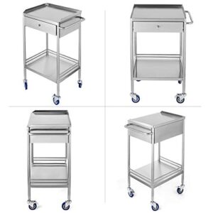 2-Layer Medical Trolley Stainless Steel Healthcare Trolley Mobile Care Car Clinic Carts Medical Laboratory Equipment Carts Spa Beauty Salon Tool Car (1 Drawer)