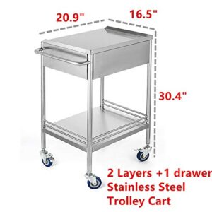 2-Layer Medical Trolley Stainless Steel Healthcare Trolley Mobile Care Car Clinic Carts Medical Laboratory Equipment Carts Spa Beauty Salon Tool Car (1 Drawer)