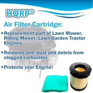 HQRP Filter with Pre-filter compatible with Briggs & Stratton 794935, 798897, 653412, 592496, 593217 fits 44M977, 44P977, 44Q977, 49L977, 49M977 Engines