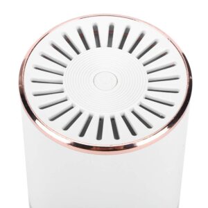 Fdit Portable USB Charging Household Desktop Air Purifier Mini Car Air Purifier (White)