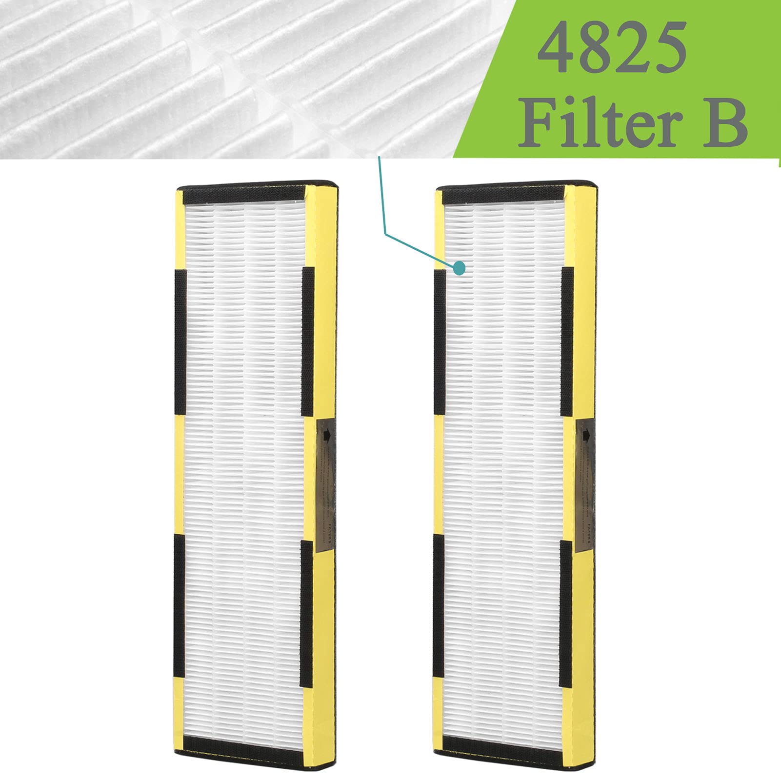 2 Pack Replacement FLT4825 Filter B with 10 Pack Carbon Pre-Filters Compatible with Guardian AC4825, AC4300BPTCA, AC4900CA, AC4825DLX, AC4850PT, CDAP4500BCA, CDAP4500WCA