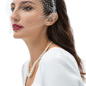 BABEYOND 1920s Flapper Fascinator Mesh Veil Headband Bridal Wedding Tea Party Fascinator Veil for Women