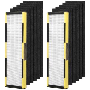 2 Pack Replacement FLT4825 Filter B with 10 Pack Carbon Pre-Filters Compatible with Guardian AC4825, AC4300BPTCA, AC4900CA, AC4825DLX, AC4850PT, CDAP4500BCA, CDAP4500WCA