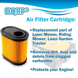 HQRP Air Filter compatible with Toro 20000 series 20003 20005 20007 20009 20012 20013 20016 20017 20031 20051 20070 20072 20073 20075 20076 20079 20094 20096 22" Recycler Lawn Mowers