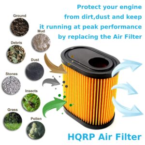 HQRP Air Filter compatible with Toro 20000 series 20003 20005 20007 20009 20012 20013 20016 20017 20031 20051 20070 20072 20073 20075 20076 20079 20094 20096 22" Recycler Lawn Mowers