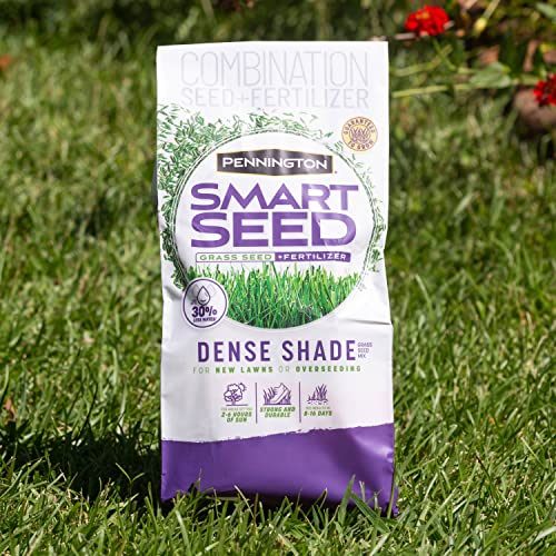 Pennington Smart Seed Dense Shade Grass Mix 3 lb