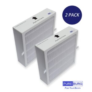 PUREBURG Replacement Filter Compatible with Blueair Pure Fan Auto,Blue Pure Purifying Fan, 2-Pack H13 HEPA Air Clean Dust