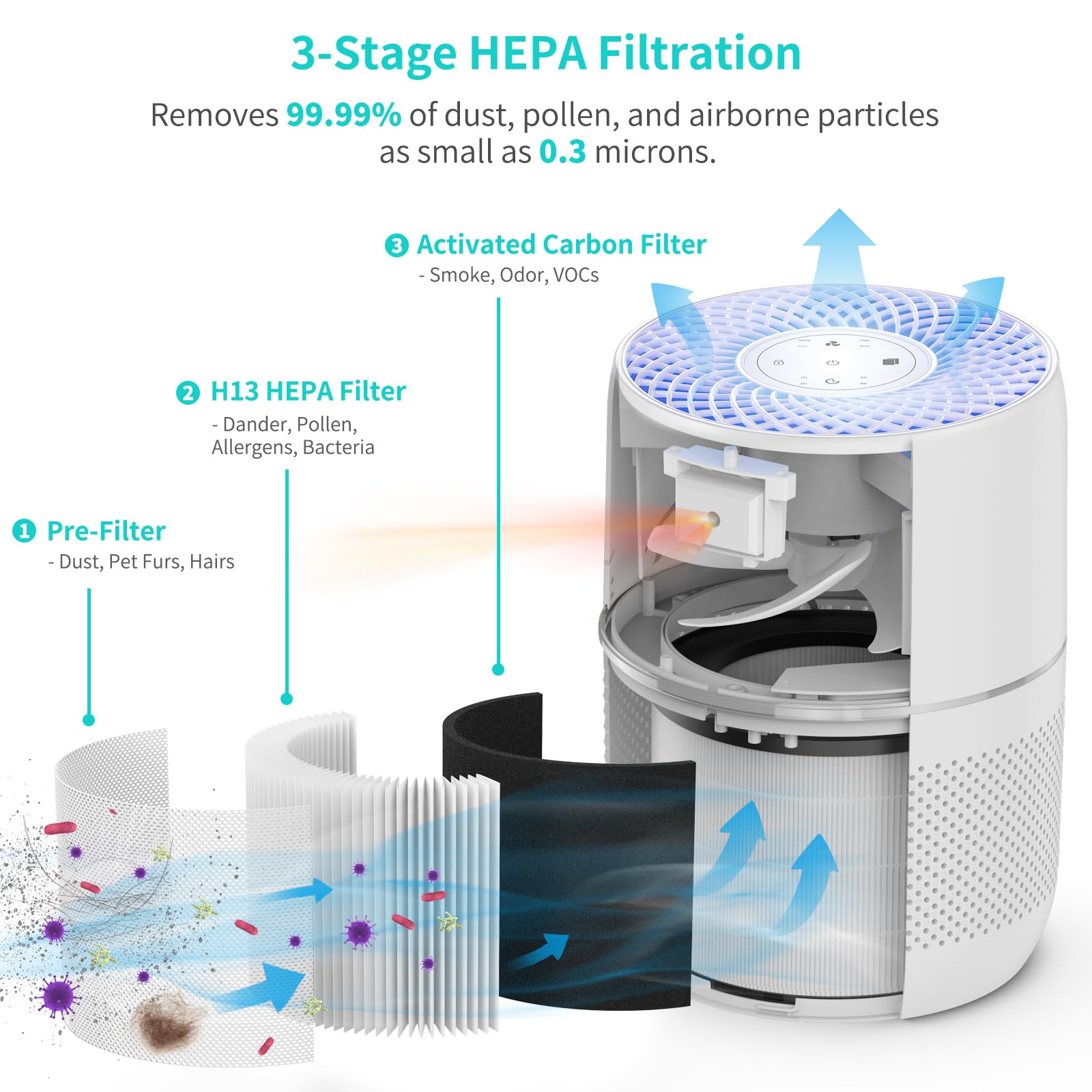 HIMOX Air Purifiers for Home Large Room Covers 1,086 Sq Ft with Air Quality Light, Fragrance Sponge, H13 HEPA Filter, 22 dB, Removes 99.99% of Pet Dander, Odors, Hair, Allergens, Smoke, Dust, Pollen