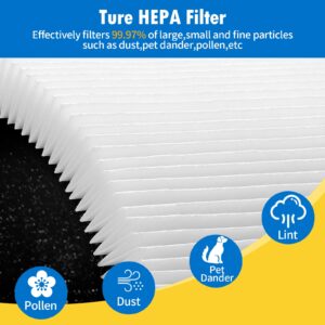 Gazeer C545 True H13 HEPA Replacement Filter S Compatible with Winix C545,Replacement for Winix S Filter Part 1712-0096-00 and 2522-0058-00, 2 x True HEPA Filter + 8 x Activated Carbon Pre-Filters