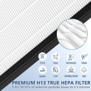 NEA-F1 H13 True HEPA Replacement Filter for Eureka NEA120 Air Puri-fier and for Toshiba Smart WiFi Air Puri-fier CAF-W36USW - 2 Pack NEA-F1 True HEPA Filter with 8 Pack NEA-C1 Carbon Filter