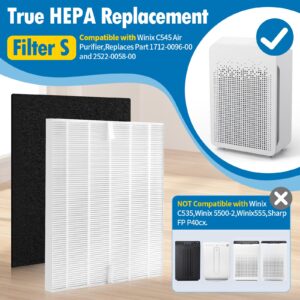 Gazeer C545 True H13 HEPA Replacement Filter S Compatible with Winix C545,Replacement for Winix S Filter Part 1712-0096-00 and 2522-0058-00, 2 x True HEPA Filter + 8 x Activated Carbon Pre-Filters