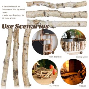 Uplama 6Pack Small Birch Logs for Fireplace Unfinished Wood Crafts DIY Home Decorative Burning,Fireplace Log Set (0.78''-1.18'' Dia. x 12" Long)